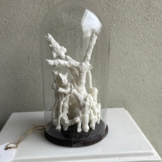 Mycelium vrucht nr 3