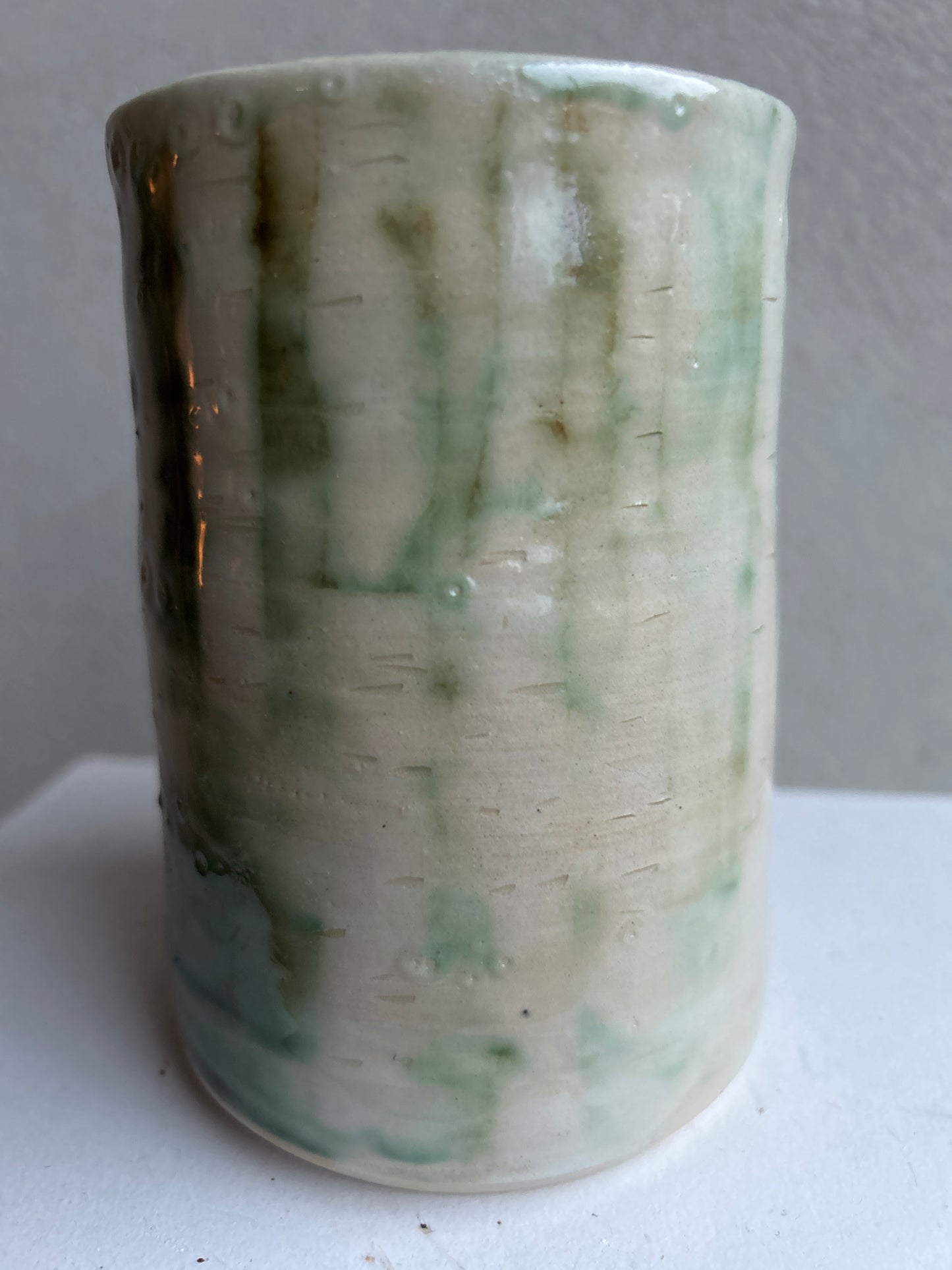 Vaas met berkenbos motief