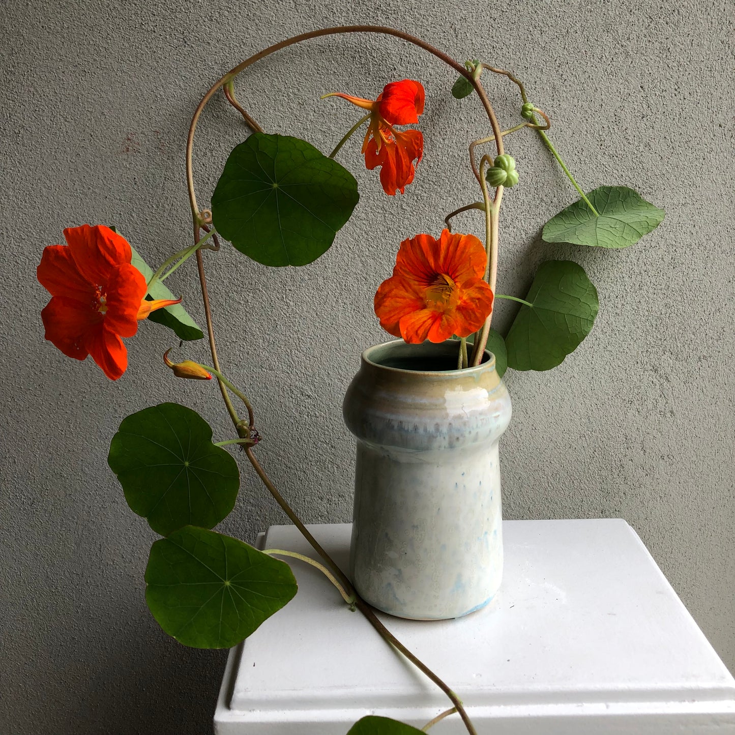 Cute vase